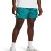 Under Armour-Men’s UA Woven Volley Pride Shorts-under amour 3