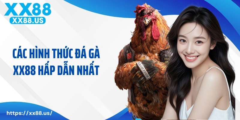 Các hình thức đá gà XX88 hấp dẫn nhất